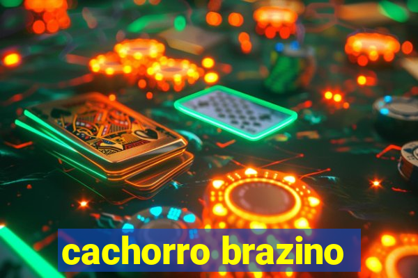 cachorro brazino